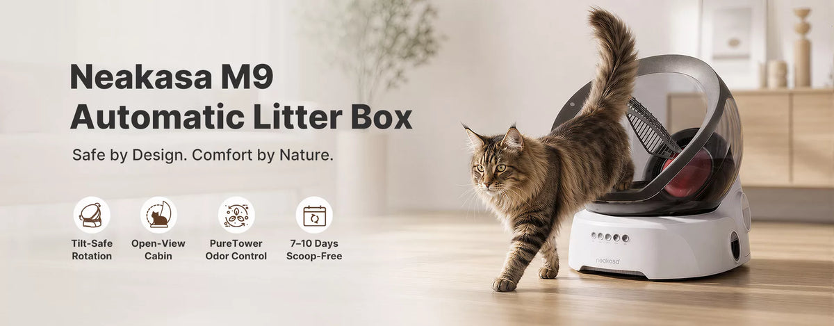 Cat stepping out of the Neakasa M9 automatic litter box with an open-view cabin.