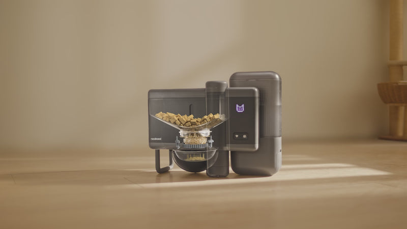 Video showing how the Neakasa Riko automatic pet feeder works