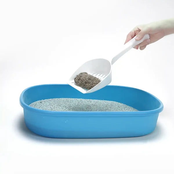 scoop the litter